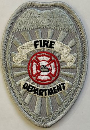 FIRE DEPARTMENT EAGLE TOP BADGE PATCH - SILVER.
